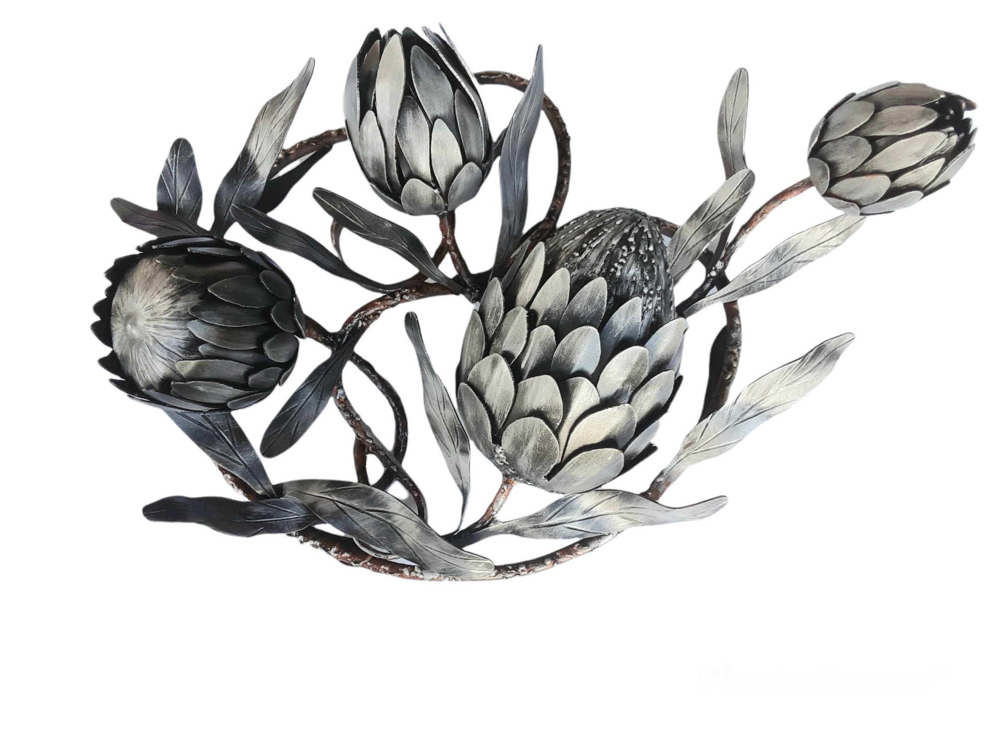 Protea wall art ,protea metal art , Stephen 3