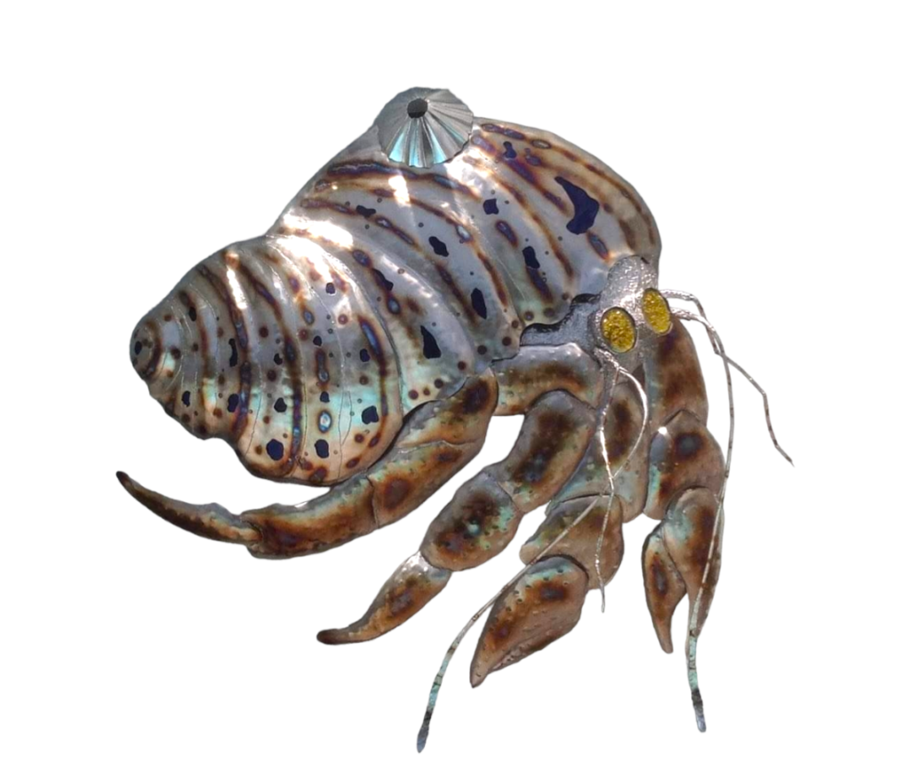 Large stainless steel Hermit crab 2all art