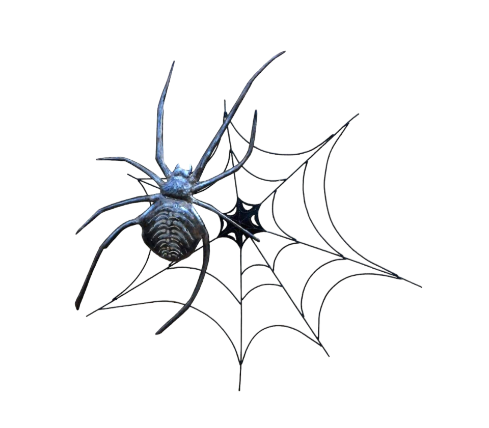 Treated steel spider with web